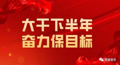 【大干下半年 奋力保目标】麻城各地各部门学习贯彻市委常委会（扩大）会议暨乡镇（街道）党（工）委书记座谈会会议精神