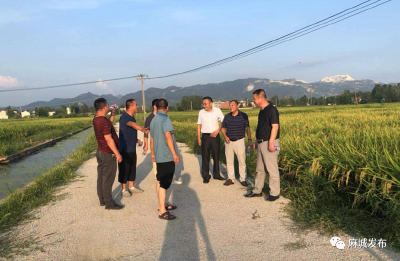 市发改局：深入基层送服务  宣传政策解企忧