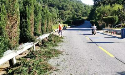 市公路管理局：修枝除草添秀色 匠心扮靓提颜值