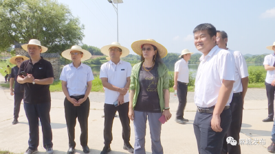 留住乡亲 护住乡土 记住乡愁！麻城以共同缔造理念引领传统村落保护