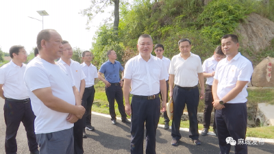 汪国兵在乘马岗镇调研时强调：大干当前，实干快上，为麻城“挺进百强”贡献乘马力量