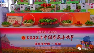 庆丰收 迎盛会丨2022年中国农民丰收节湖北主会场活动在麻城启动