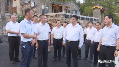 周先旺到麻城调研乡村振兴工作