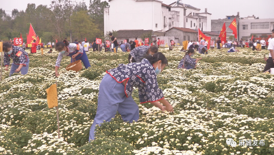 乐丰收 嗨翻天！这场趣味运动会“农”味十足