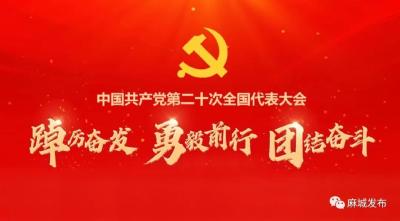 中共二十届一中全会公报