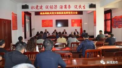 市商务局举行机关支部委员会换届选举大会