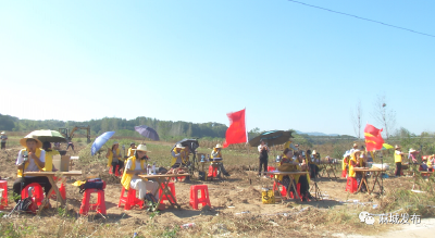 田间地头开直播 蜜薯成了抢手货