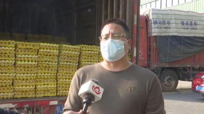 志愿服务我参与 抗击疫情我当先