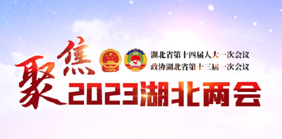 2023年湖北省两会