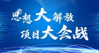 【思想大解放 项目大会战】蔬菜基地春耕忙 不负农时不负春