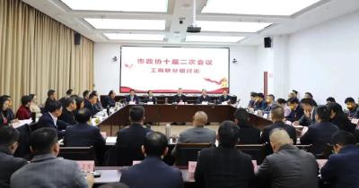 【聚焦两会】汪国兵参加政协麻城市第十届委员会第二次会议工商联界别分组讨论