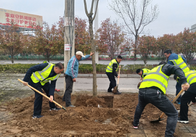 市应急管理局：不负好春光 植树正当时