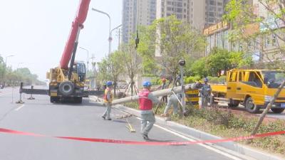 “拔掉”占道电杆 消除安全隐患