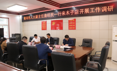 詹旺民到木子店镇调研乡村振兴等工作推进情况