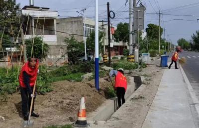 白果镇推进美丽城乡建设工作