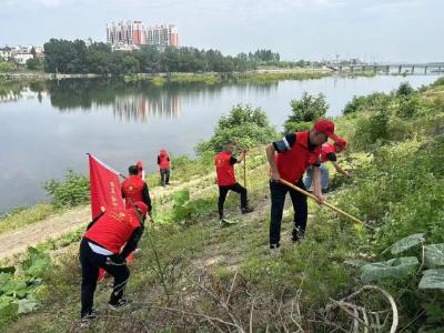 同心百日攻坚 共创文明城市——党的二十大精神宣讲走进凉亭社区