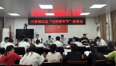 白果镇组织开展纪念“五四”青年节座谈会