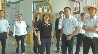 省审计厅领导到麻城调研财政运行保障、地方经济发展、经济责任审计工作