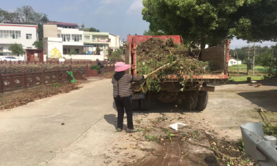 五脑山林场虎形地村：环境整治不停歇 塆组旧貌换新颜