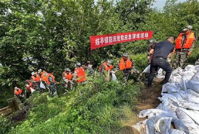 歧亭镇开展防汛抢险应急演练