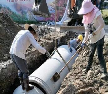 鼓楼街道杜鹃村：疏堵清淤  解民之忧