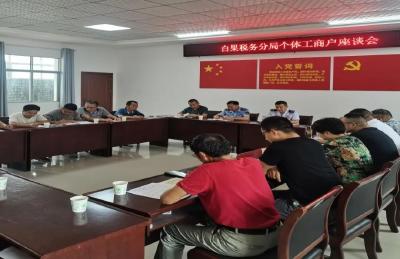 白果税务分局开展“个体工商户服务月”座谈会