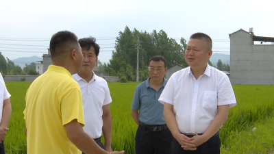 守住耕地保护红线 筑牢粮食安全底线