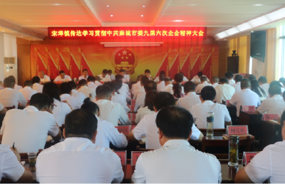 宋埠镇召开传达学习贯彻市委九届六次全会精神大会