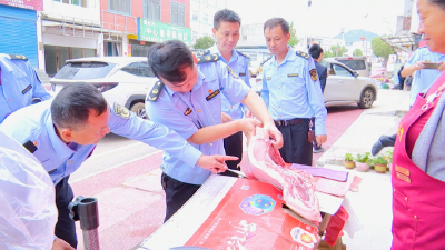 市农业综合执法大队在福田河镇开展节前畜牧业专项执法检查