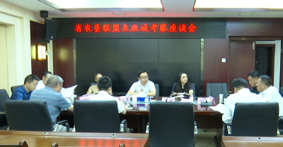 湖北农垦农场联盟来麻城考察