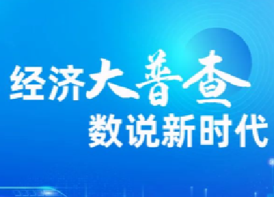 【“五经普”进行时】木子店镇召开五经普单位清查工作推进会