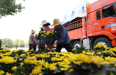 节会大幕即将开启 记者探班带你抢先看