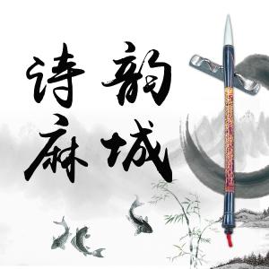 【诗韵麻城】第二十八期——第六小学之《清平乐·村居》