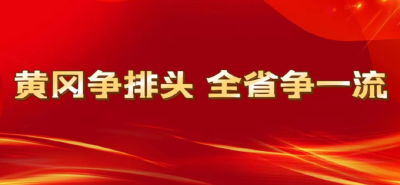 【黄冈争排头 全省争一流】麻城各地各单位学习贯彻全市三级干部大会精神（二）