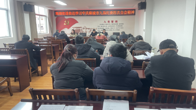 麻城各地各单位传达学习市纪委九届四次全会精神（七）