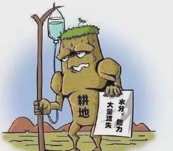 杜绝春耕“一把火” ，当心烧荒惹大祸！