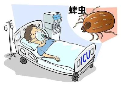 @麻城人：外出踏青、采春茶，警惕蜱虫叮咬