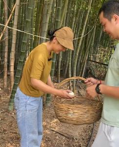 【记者走基层 一线看发展】探索龟峰山风景区林峰村的乡村振兴路