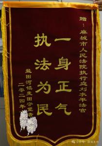 【民生大视野】执行和解使46名农民工45万元工资圆满兑付