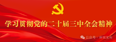 学习贯彻党的二十届三中全会精神（十一）