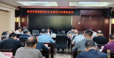 麻城市召开耕地保护和卫片执法工作推进会