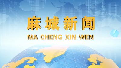 2025年4月14日星期一《麻城新闻》
