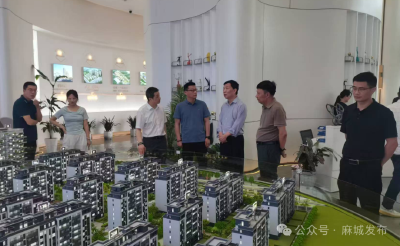 黄冈市房地产发展调研组来麻城市开展调研指导