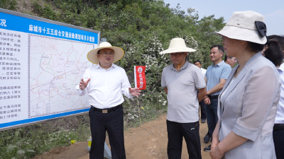 裴永波调研重点项目建设