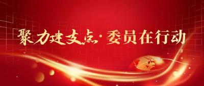 【聚力建支点 • 委员在行动】李理：从法学跨界到教育燃灯者 解码六千学子的成长“密钥”