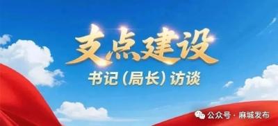 【支点建设书记（局长）访谈】⑧以审判工作现代化助力“支点建设”——访麻城市人民法院党组书记、院长刘小成