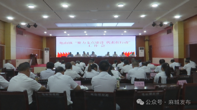 龟山镇各级人大代表共谋茶旅融合发展新路径