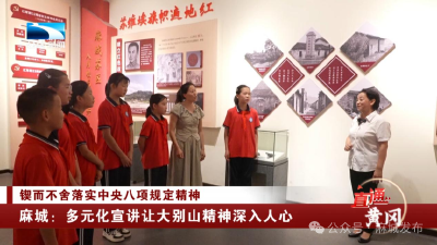 麻城：多元化宣讲让大别山精神深入人心 