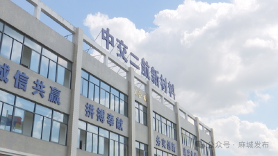 培育瞪羚企业 激发创新动能