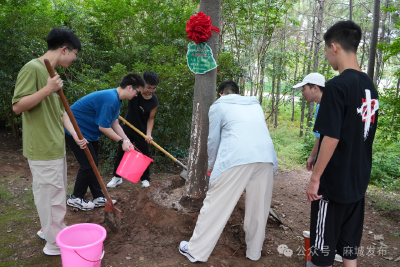 “清廉树”筑梦青春路